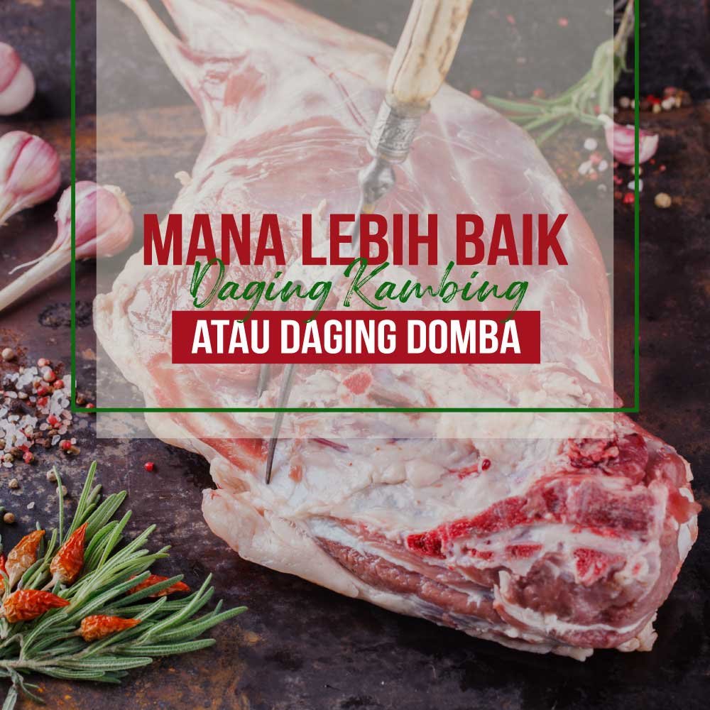 title mana lebih baik daging kambing atau daging domba