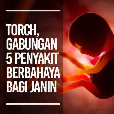 torch gabungan 5 penyakit berbahaya bagi janin